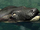 Titanoboa