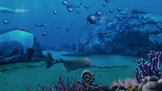 Vlcsnap-2020-12-25-07h48m59s442.png (537 KB)