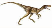 Eotyrannus