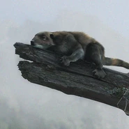 Sinobaatar lingyuanensis.jpg (221 KB)