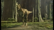 Daspletosaurus 3