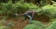 Incisivosaurus 2