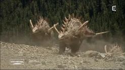 Tuojiangosaurus1.png (2.57 MB)