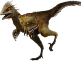 Hesperonychus