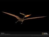 Pteranodon