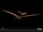 Pteranodon