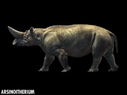 Arsinoitherium