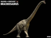 Brachiosaurus