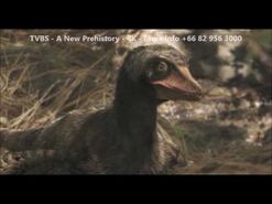 Microraptor.jpg (12 KB)