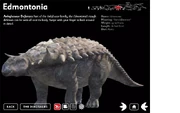 Edmontonia 3