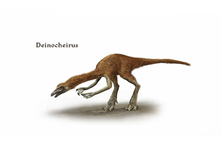 A Dinosaur Lover's Dream: Travel Back to the Times of Deinocheirus