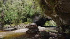 Vlcsnap-2019-12-24-03h41m54s472.png (2.96 MB)