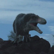 Sinraptor.jpg (219 KB)