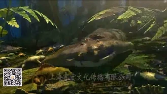 Diplocaulus 5.png (1.41 MB)