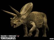 Torosaurus z1.jpg