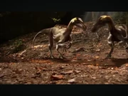 When Dinosaurs Roamed America Suskityrannus