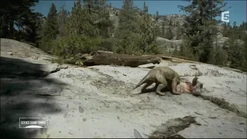 Gorgonops kills.png (2.72 MB)