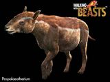 Propalaeotherium