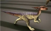 Gongbusaurus