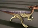 Gongbusaurus
