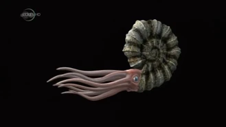 Vlcsnap-2020-12-25-07h49m13s723.png (172 KB)