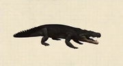 Cerrejonisuchus
