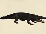 Cerrejonisuchus