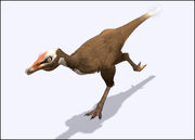 Sa alvarezsaurus hzoom