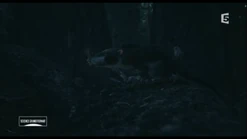 Hadrocodium.png (738 KB) Hadrocodium