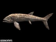 Leedsichthys