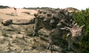 Tarchia.png