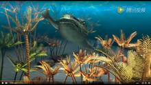 Dinocephalosaurus 1