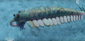 Opabinia.png (2.11 MB)