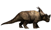 Pachyrhinosaurus