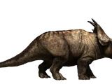 Pachyrhinosaurus