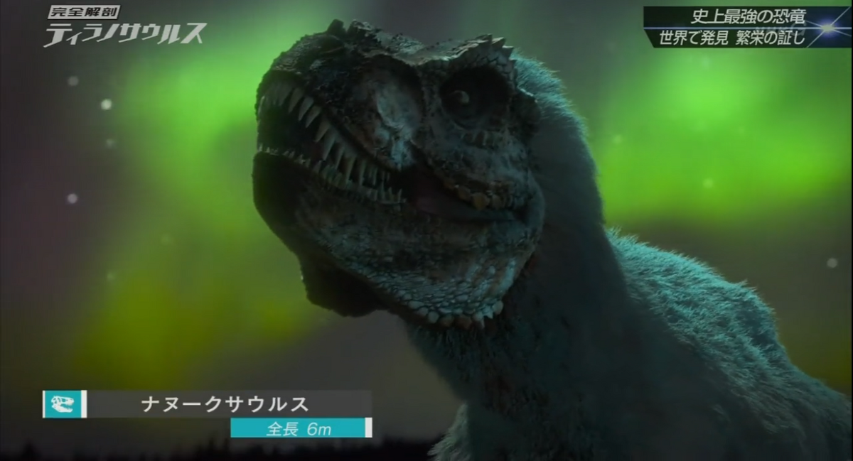 HUNT THE DINOSAUR ne farious レコード Hunt the Dinosaur 