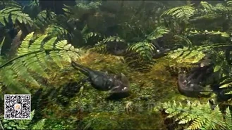 Diplocaulus 4.png (1.71 MB)