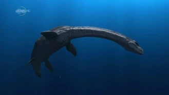 Vlcsnap-2020-12-25-07h29m50s782.png (254 KB)