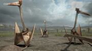 Hatzegopteryx 2