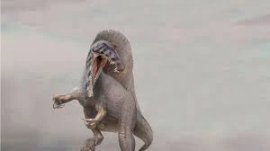 Australiasaurus | Wiki Dinosaures | Fandom