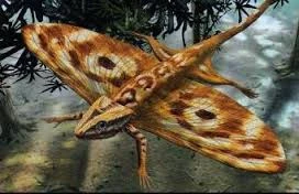 Coelurosauravus Wiki Dinosaures Fandom