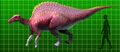 full-sized Alpha Ouranosaurus