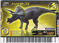 Triceratops Card 10
