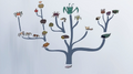 Ed's hypothetical post-fire insect evolutionary tree
