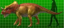 Brachyceratops