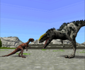 20-ft Monolophosaurus vs. 20-ft Alioramus