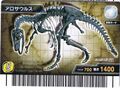 Allosaurus fossil card (Japanese version)