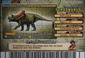 Back of Torosaurus arcade card (English S2 4th Edition)