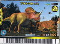 Brachyceratops Card 2