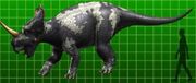 Monoclonius